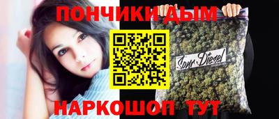индика Бердск