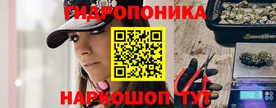 индика Бердск