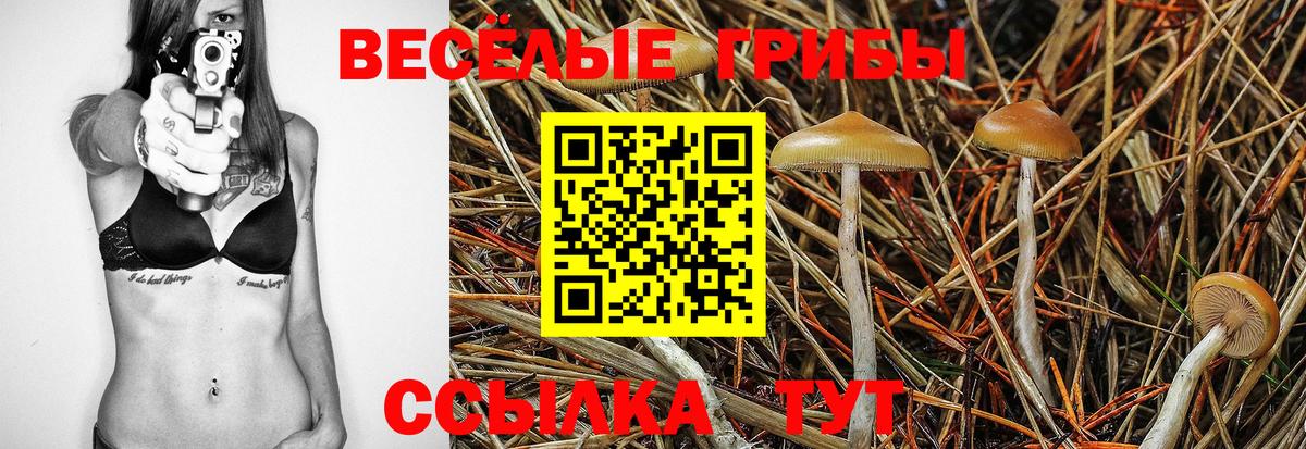 Галлюциногенные грибы Cubensis  Вход с VPN  Губаха 